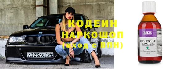 сатива Корсаков