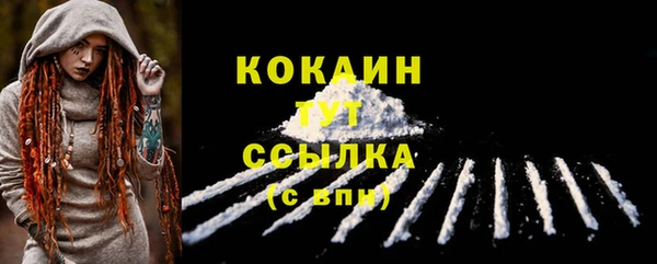 сатива Корсаков