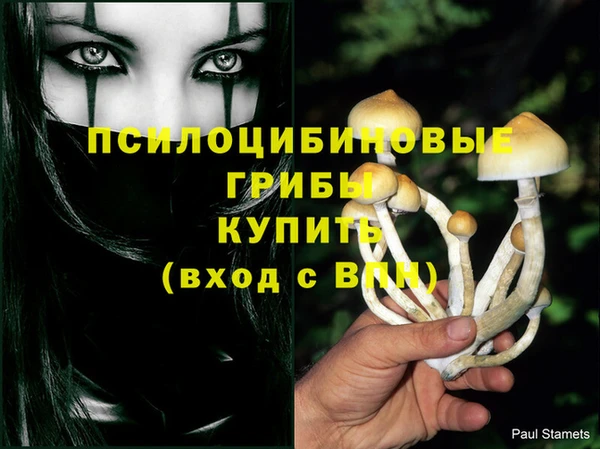 PSILOCYBIN Красноперекопск