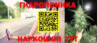 индика Канаш