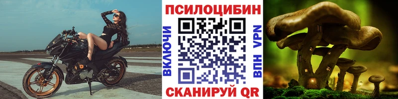 кракен как зайти  даркнет сайт  Кудымкар  Галлюциногенные грибы Cubensis 