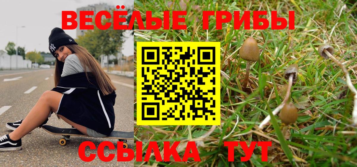Кудымкар  Псилоцибиновые грибы ЛСД  Галлюциногенные грибы Psilocybine cubensis  Вход с VPN 